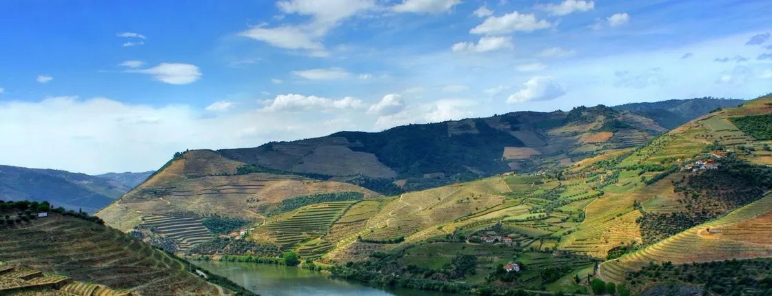 Douro Valley full-day tour with wine tasting and a boat trip