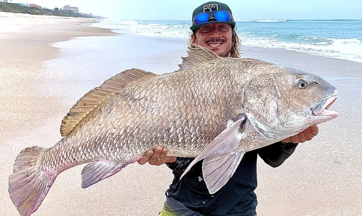 Shark and Fishing Ultimate Combo Beach Fishing Excursion 4 Hrs