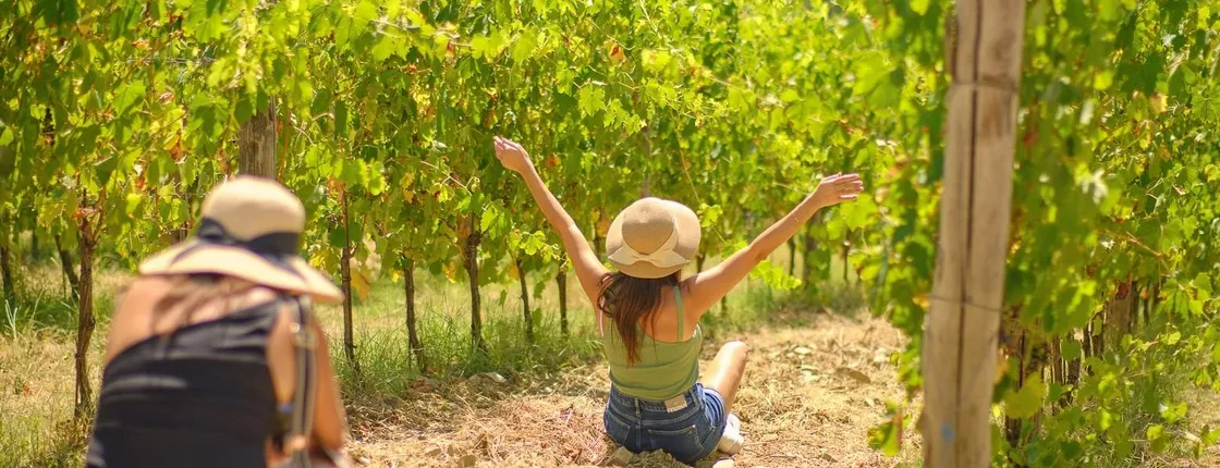 Chianti tour with two wine tastings from Florence