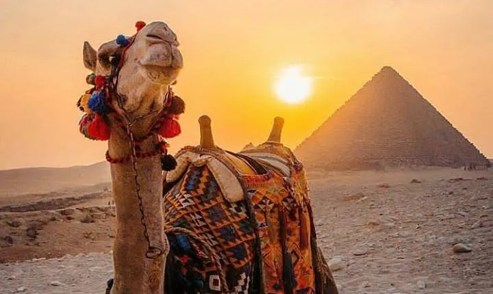 Giza Pyramids Tour