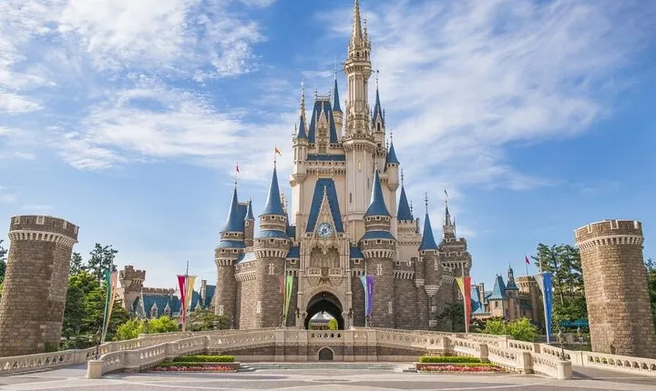 Tokyo Disneysea 1 Day Ticket with Door-to-Door Private Transfer