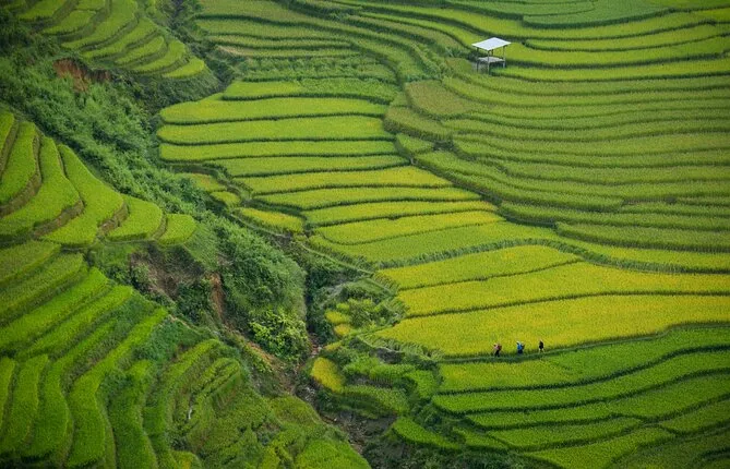 Private Tour-13 Days Authentic Vietnam Cambodia Thailand
