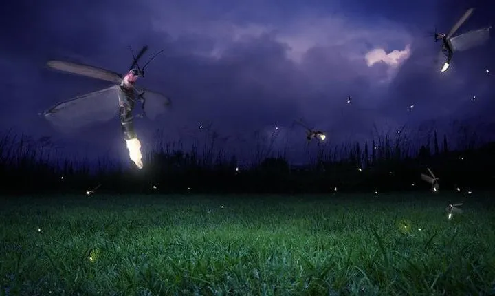 Glowing Kuala Selangor Firefly Tour