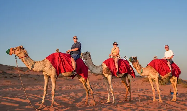 Premium Dubai Red Dune Camel Trekking, Desert Safari and BBQ 