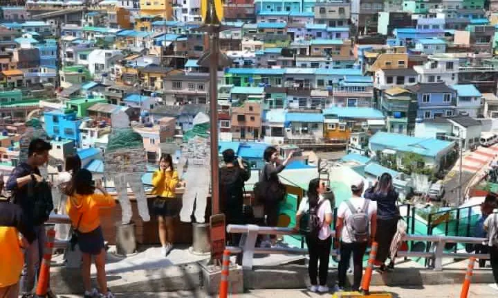 2-Day Busan Customized Tour