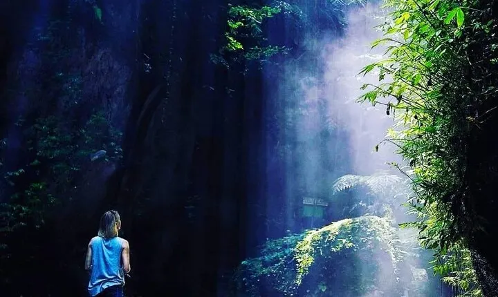 Explore Ubud Art Market, Monkey Forest and Rice Terraces