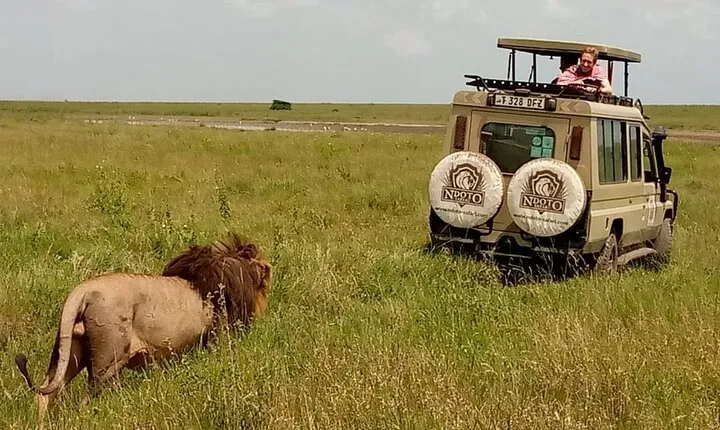 5 Day Adventure Camping Safari to Serengeti, Ngorongoro crater & Tarangire