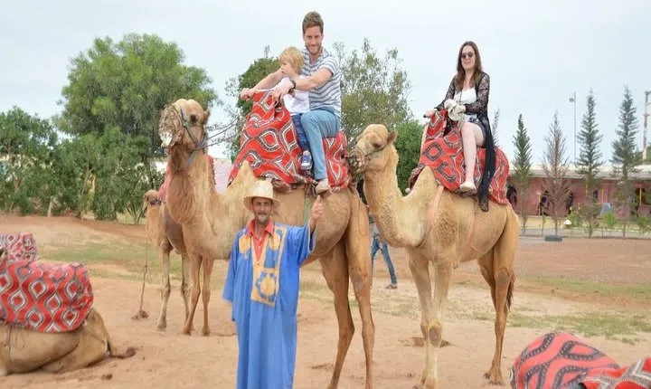 Camel riding in Agadir for Cruise ship Passengers