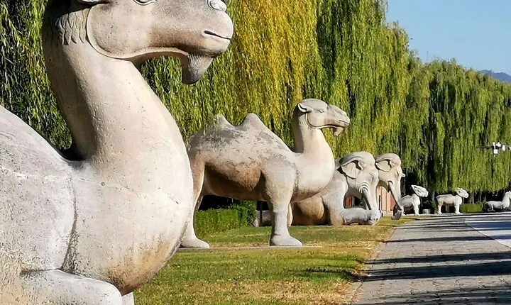 All Inclusive Private Beijing Tour: Ming Tombs, Sacred Way and Summer Palace