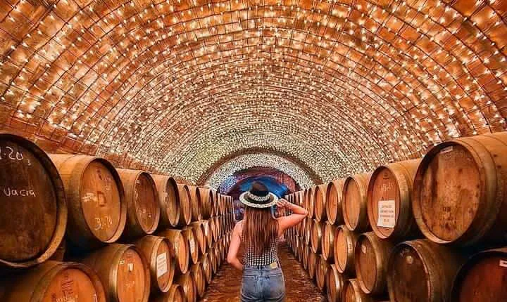 Private Tour to Tequila Unique experience price groups of up to 4