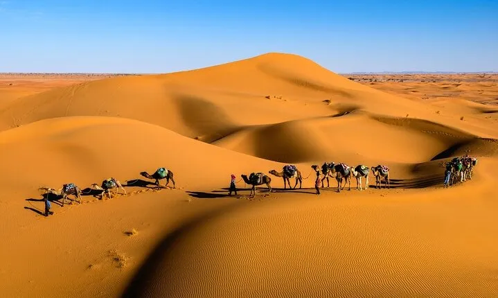 Overnight Sahara Tour from Marrakech to Mhamid