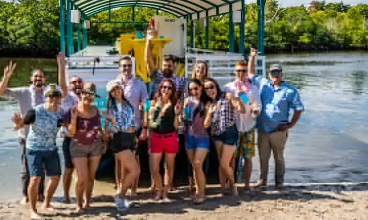 Clearwater Island Hop and Dolphin Watch with Swimming