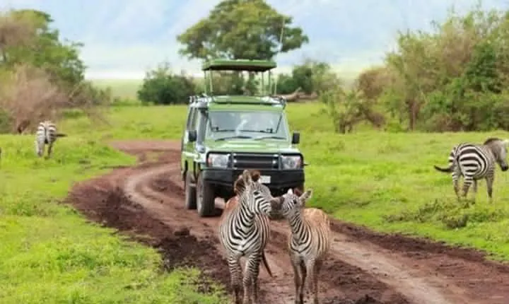 2 Days Selous Game Reserve Safari from Zanzibar or Dar es salaam