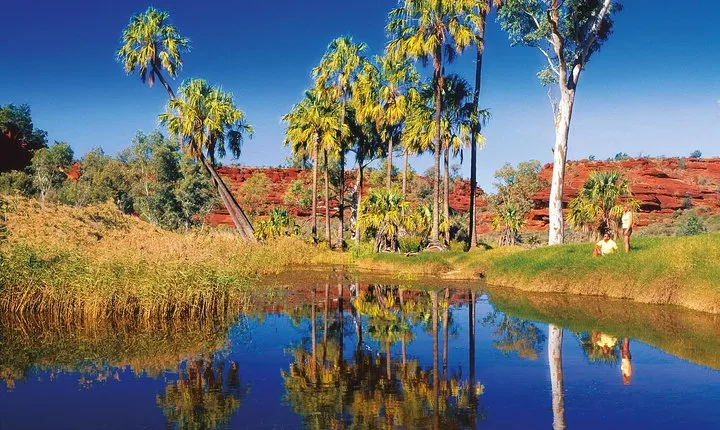 Palm Valley 4WD Tour from Alice Springs