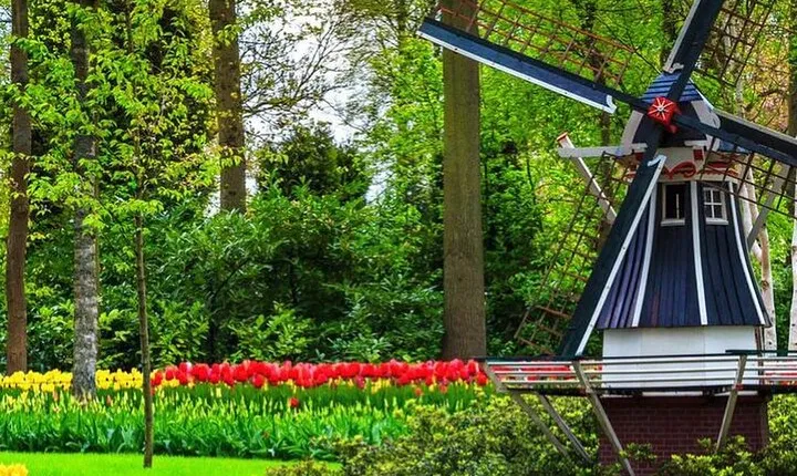Exclusive Private Keukenhof and Tulip Fields Tour