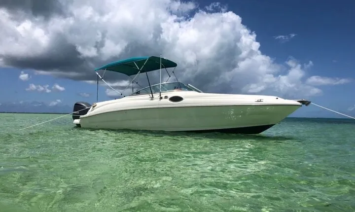 Private Half-Day Charter to Stingray City, Starfish Point and Snorkeling Tour