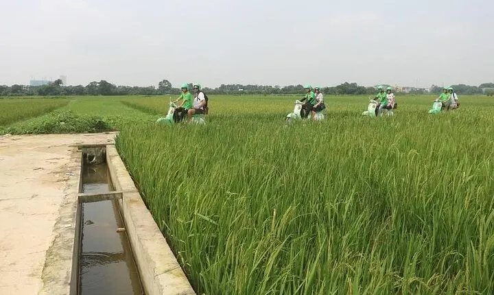 Ninh Binh Vespa Start from Hanoi + Boat + Villages +Rice Paddies