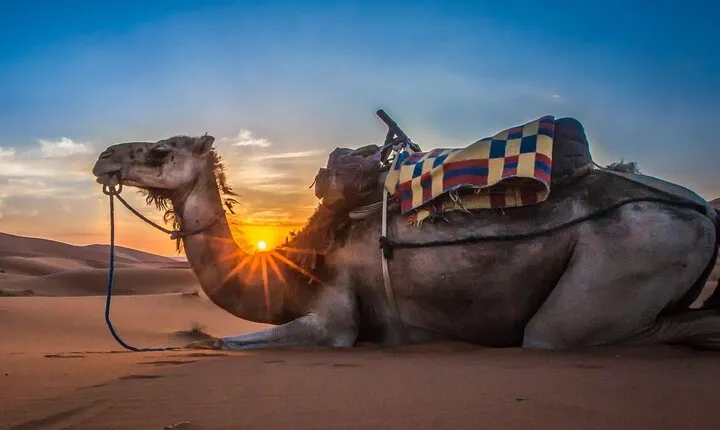 Agadir Desert Trip With Lunch