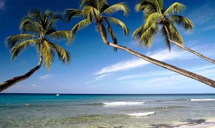 Take a 10 days vacation around Sri Lanka with an amazing beach experience