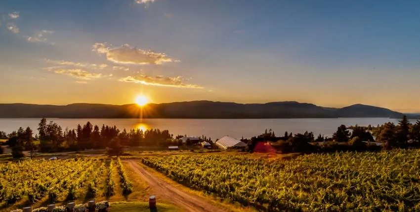 Wine Tour: sunset colors and unique flavors from Lecce