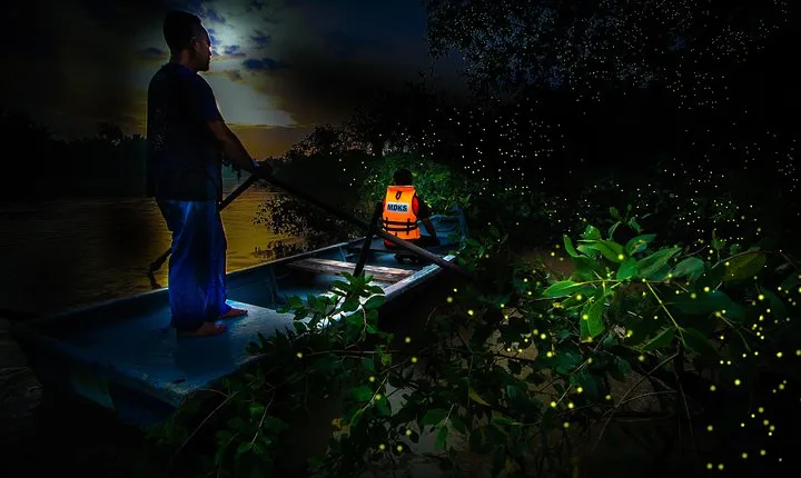 Kuala Selangor Firefly En-route Batu Caves Temple & Malawati Hill Day Tour With Sunset Dinner Sharing Basis SIC