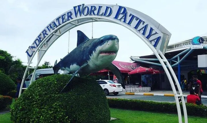 PATTAYA: Join Tour Under Water World Pattaya