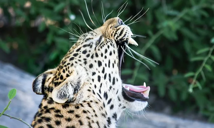 Maputo Special Reserve 3 Days/ 2 Nights
