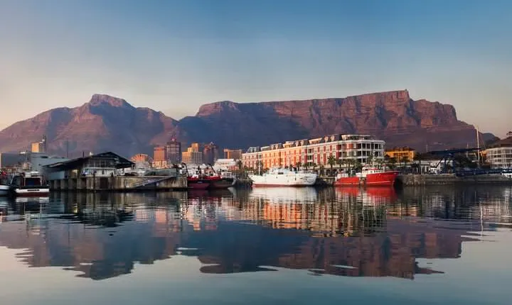 Combo Marine Wildlife Cruise & Cape Town City Full Day Tour