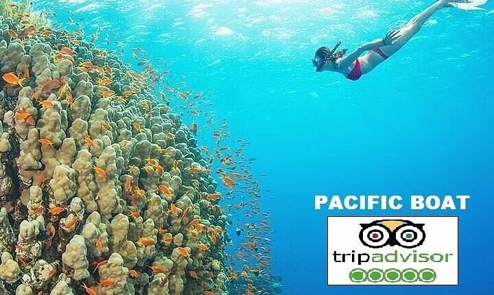 Cham island snorkeling tour