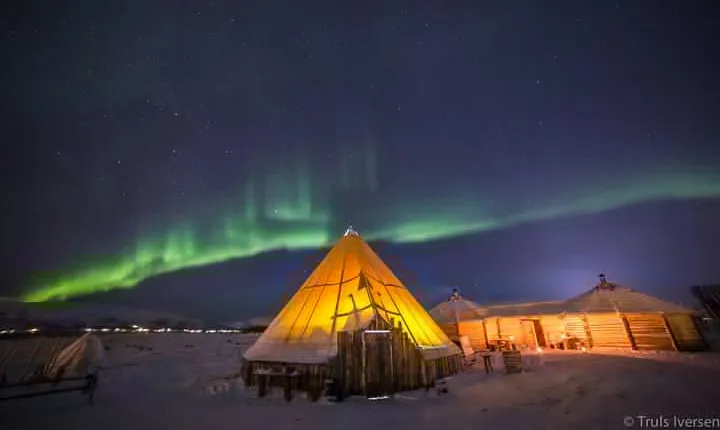 Reindeer Camp Dinner with Chance of Northern Lights in Tromso