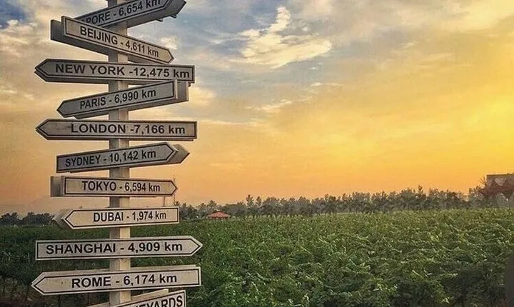 2 Days Luxury Private Tour of the Wine Capital of India, Nashik