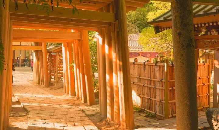 Kamakura Full Day Private Tour