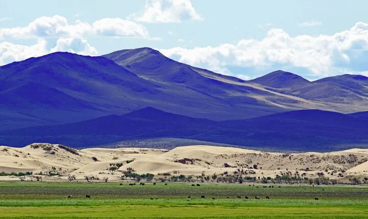 Essence of Mongolia 3 Days