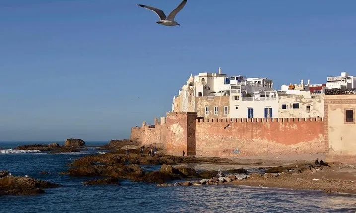 From Marrakesh : To Essaouira Full-Day Trip _ small-group