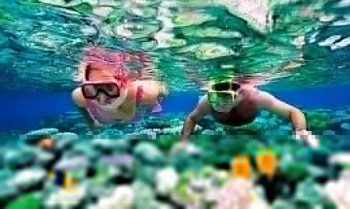 Riviera Maya Snorkeling