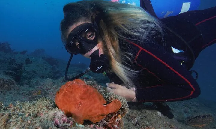 Diving tour in Isla del Caño for certified divers