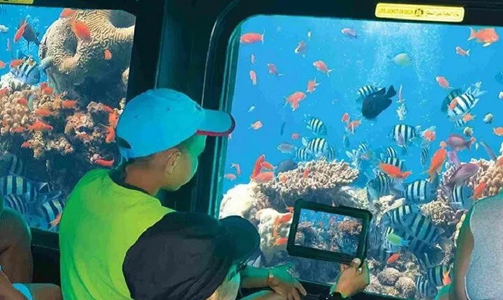 Semi Submarine Journey, Explore Underwater Wonders - Marsa Alam