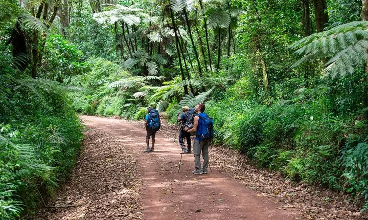 Marangu Route Kilimanjaro 6 Day Expedition