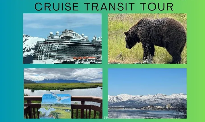 Whittier to Anchorage Land Transfer Tour