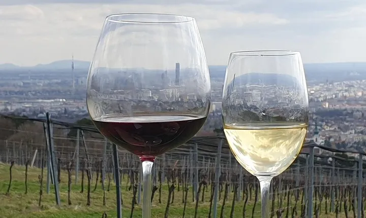 In Vienna Veritas - An Exclusive historical Wine tasting tour