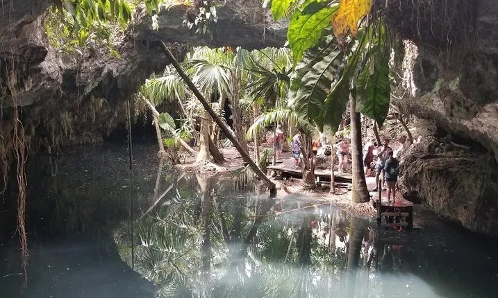 Tours On The Island Cozumel