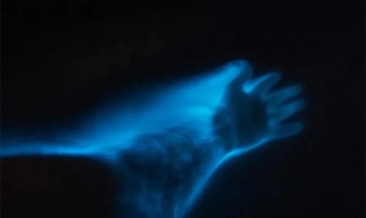 Bioluminescent Lagoon Boat Ride and Swim from Puerto Escondido