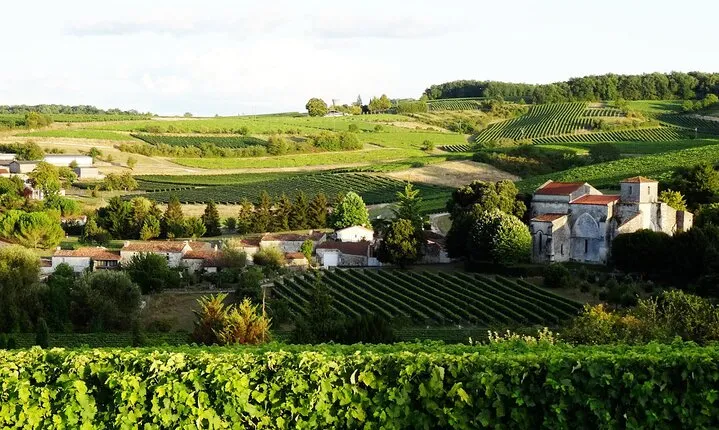 Half-day Guided E-Bike Ride to Discover The Cognac Vineyard