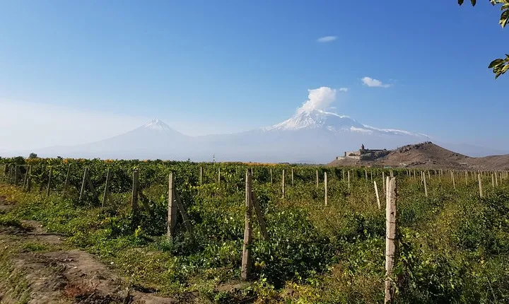 Day trip to: Khor Virap-Areni Winery-Noravank