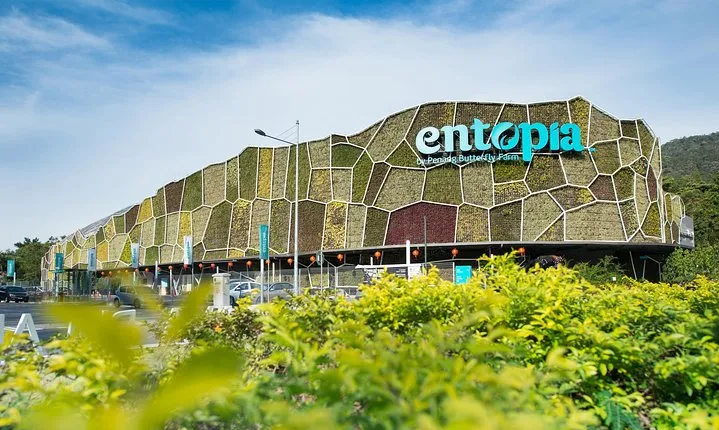Entopia Butterfly Farm And Tropical Spice Garden Tour