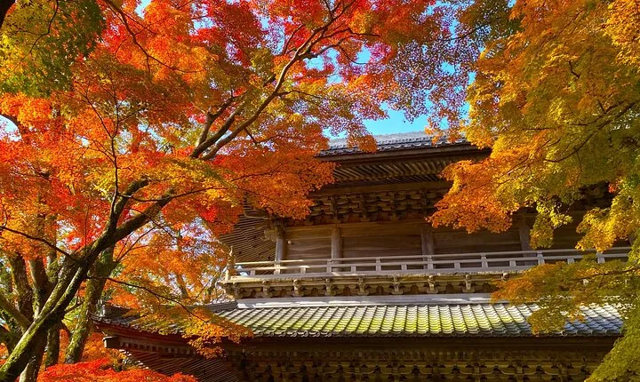 Shiga Autumn Experience Shopping and Ropeway Bus Tour from Kyoto