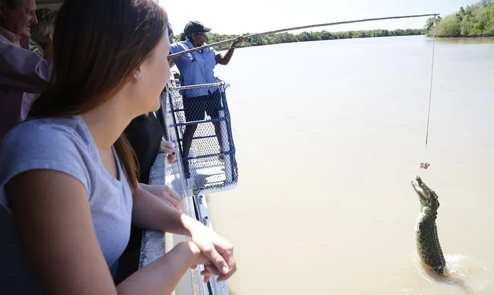 Darwin City Sights and Jumping Crocodile Cruise