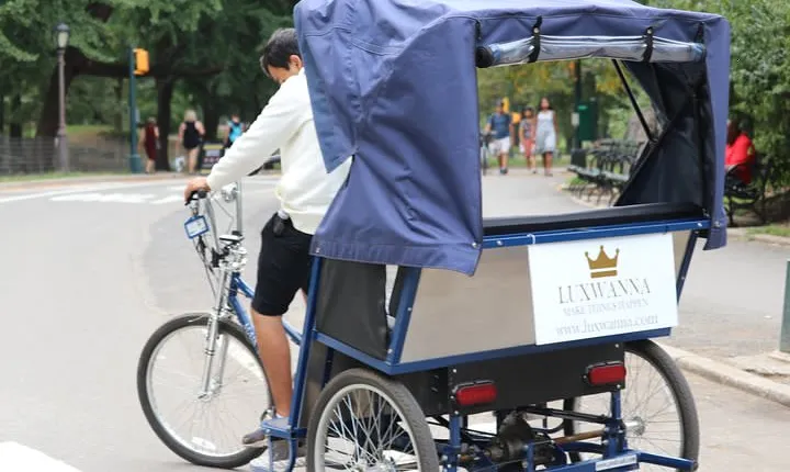 Central Park VIP Tour (All park tour up to 2 hour with unlimited stops) pedicab