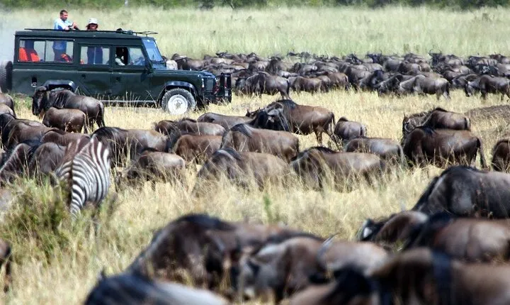 8 Days Combined Kenya And Tanzania Luxury Safari