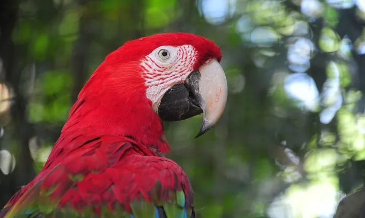 3-Days Foz do Iguaçu Classic Package